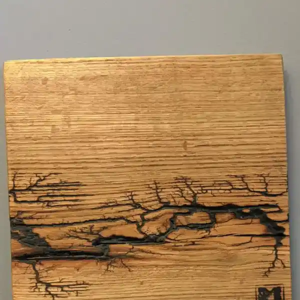 2 wood burning 010