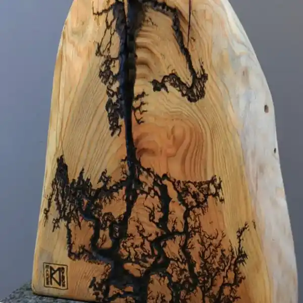 2 wood burning 012